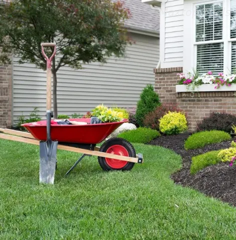 Wheelbarrow wheels